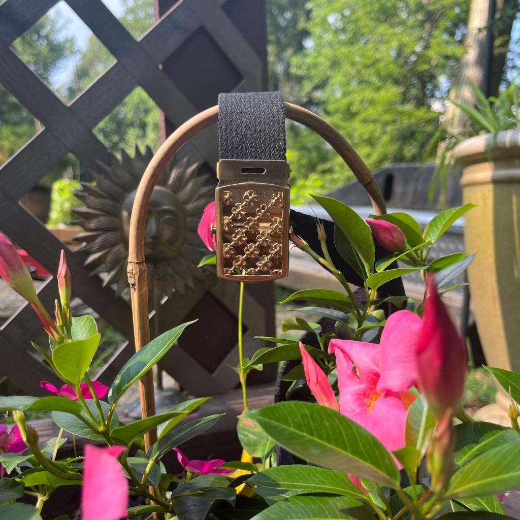 A detailed brass belt buckle and strap displayed against garden blooms and light.